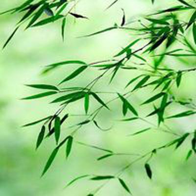芈月天下当乐手机版下载